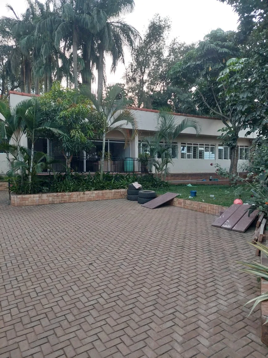 house in Muyenga: 3-Bedroom Invesment Property -Muyenga-Tank-Hill - view 3