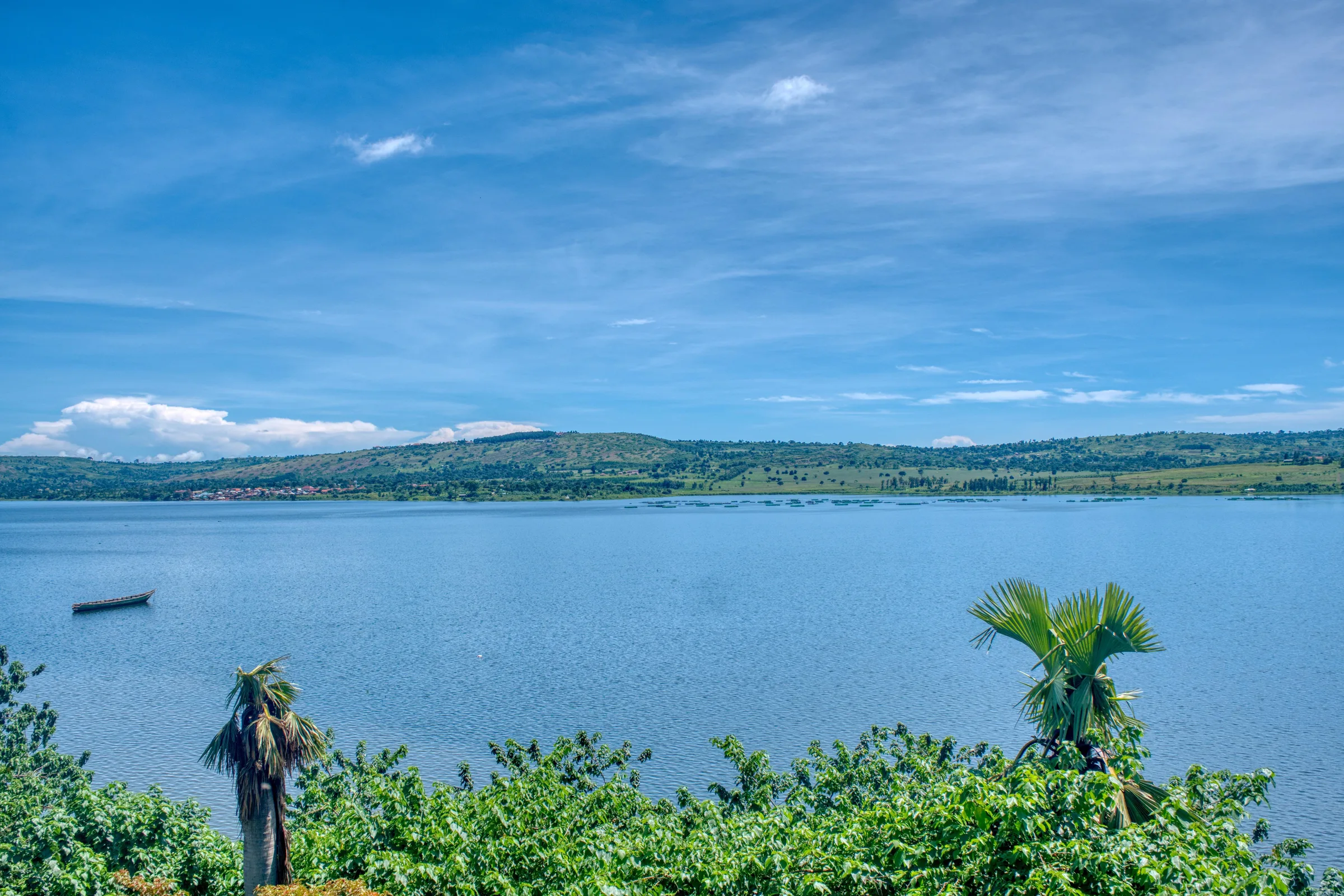 land in 4555: Land Near the lake, Lake view - view 4